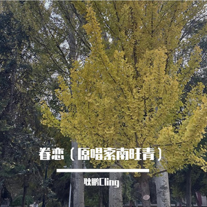 眷恋（原唱索南旺青）