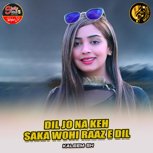 Dil Jo Na Keh Saka Wohi Raaz E Dil (1)
