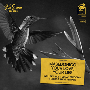 Your Love, Your Lies (Lucas Perdomo Remix)