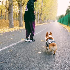 看着我的眼睛说