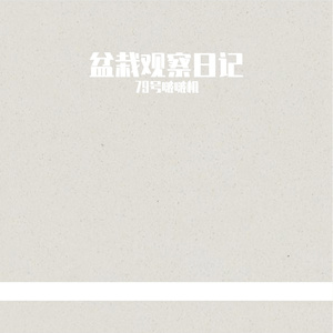 盆栽观察日记