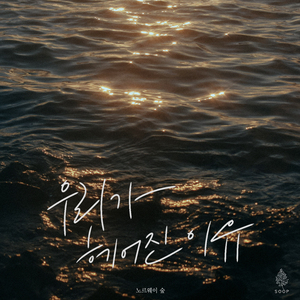 우리가 헤어진 이유 (Feat. 은별)