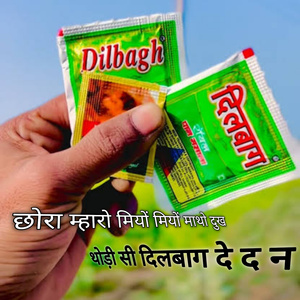 Chhora Mharo Miyo Miyo Matho Dukh Thodi Si Dilbag De D N