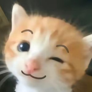 何为珍惜
