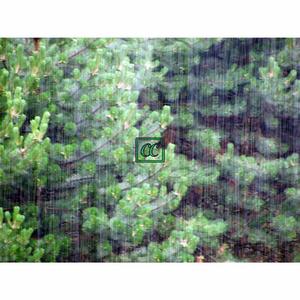 custom concern (slop)