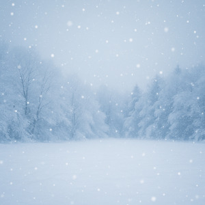 雪の記憶