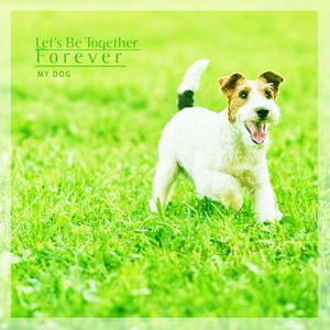 Let's Be Together Forever (和小狗永远在一起)