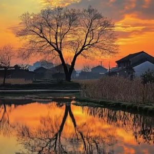 黑色的蝴蝶结发带（催眠钢琴曲）