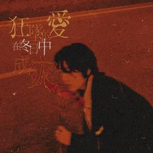 狂坠的爱在冬日中成灾
