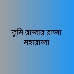 তুমি রাজার রাজা মহারাজা (feat. Shorif Uddin)