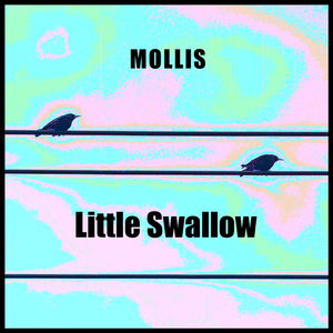 Little Swallow