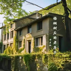 梧桐树后的老房子