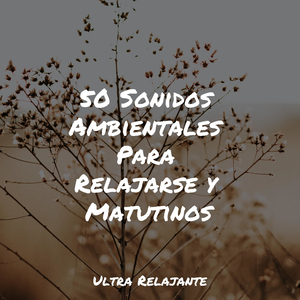 Zen Relajante