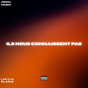 Ils Nous Connaissent Pas (feat. Eladji)