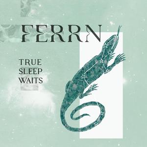 True Sleep Waits