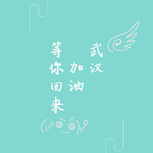 等你回来【武汉加油，中国加油！(ง •̀_•́)ง】