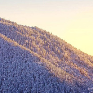 减肥人的一日三餐