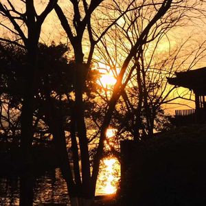 未收尾的信
