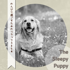 A Place to Sit and Chat