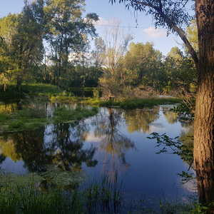 Лето-вечер, утро-зима