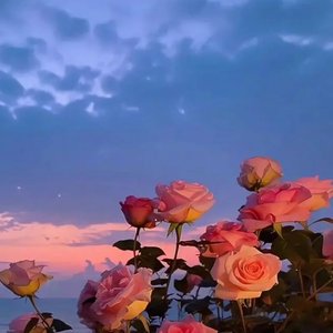 《仙妖双生劫》