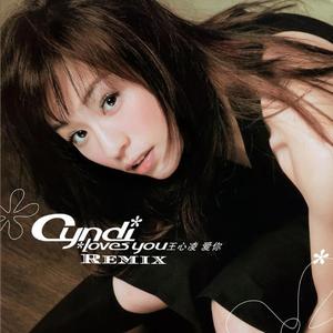 王心凌-爱你(少徒 Bootleg remix)