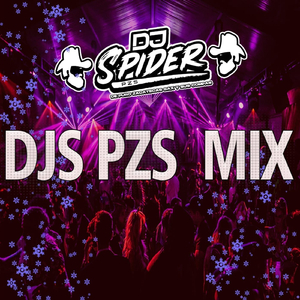 Djs Pzs Mix