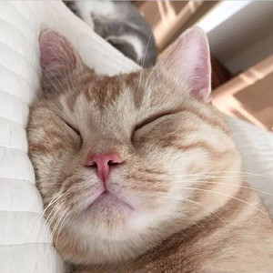 如果云知道（雨夜）