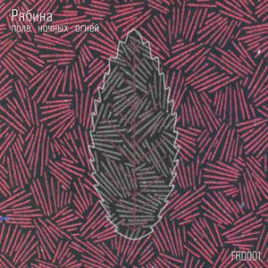 Поле Ночных Огней