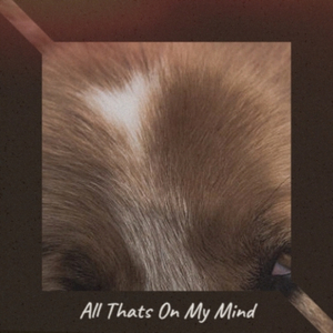 Old MacDonald Had A Boogaloo Farm