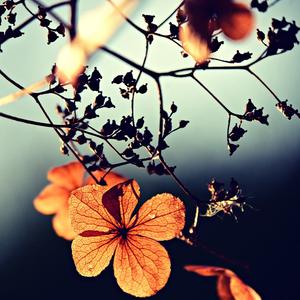 你到底爱过几个谁