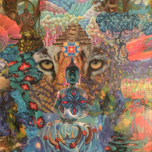Transference