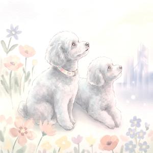 Flower & Sky
