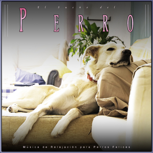 Música Instrumental para Perros
