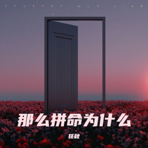 那么拼命为什么