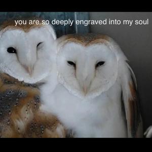 i thought i fell in love, but then i ended up in a mental hospital