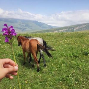 Сені ғана таңдадым