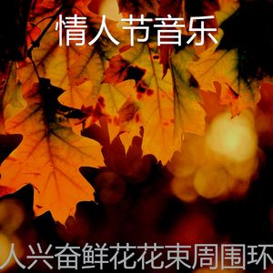 精彩约会之夜环境