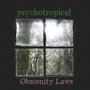 Obscenity Laws