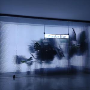 我习惯了(Part II Feat.珍珍）