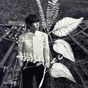 꽃이 핀다 (花开) (cover：K.Will)