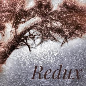 Redux (feat. Troy Hatfield)