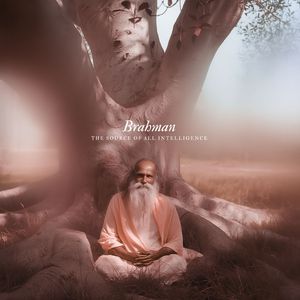 Infinite Intelligence