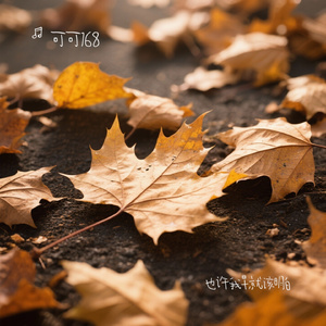 也许我早就该明白