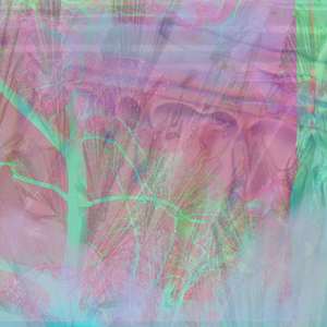 playboi(Prod.TORYONTHEBEAT)