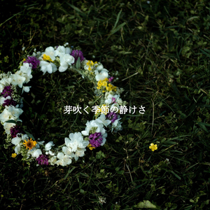 Paradise Like Ambiance for Hazy Days