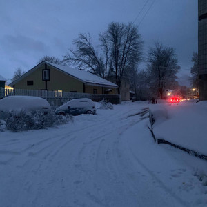 Поверь мне наслово (Speed)