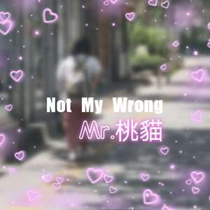 Not My Wrong(prod.Higo)