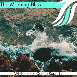 Snowy Coniferous Forest