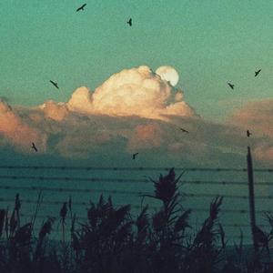 Shirfine-幻昼(钢琴版)（肖冰 remix）